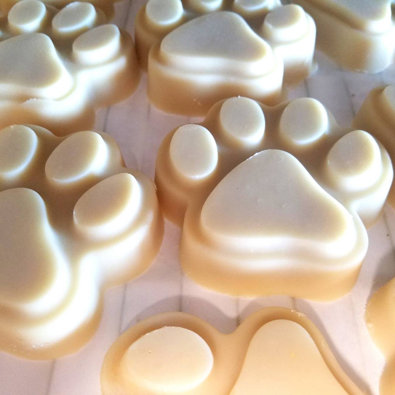 Dog Shampoo Bar