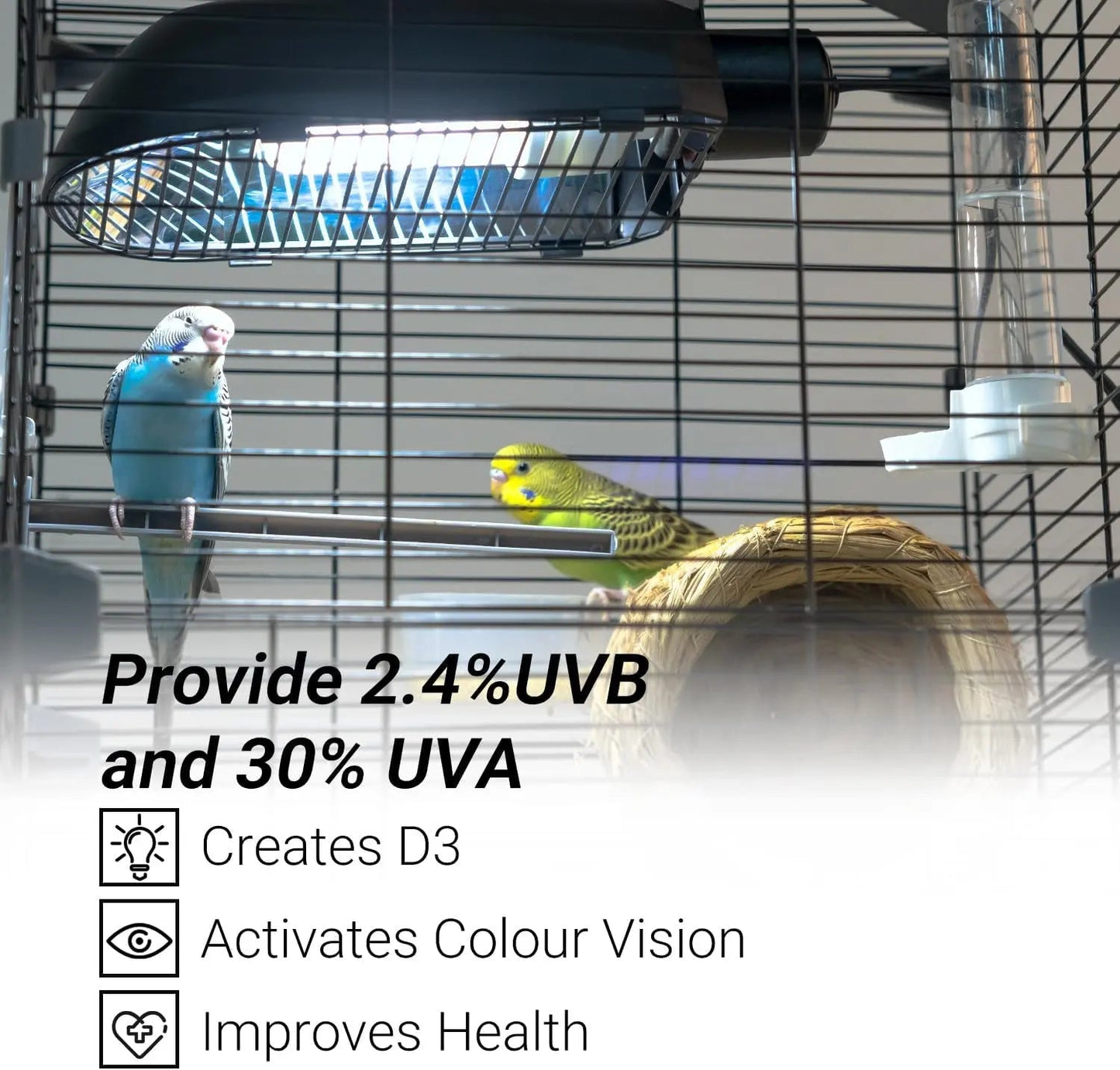 Bird Cage UVB Light