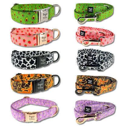 Dog Collar and Leash Set