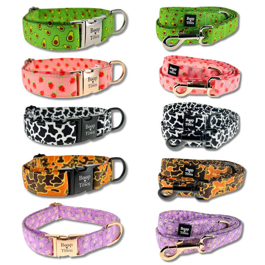 Dog Collar and Leash Set