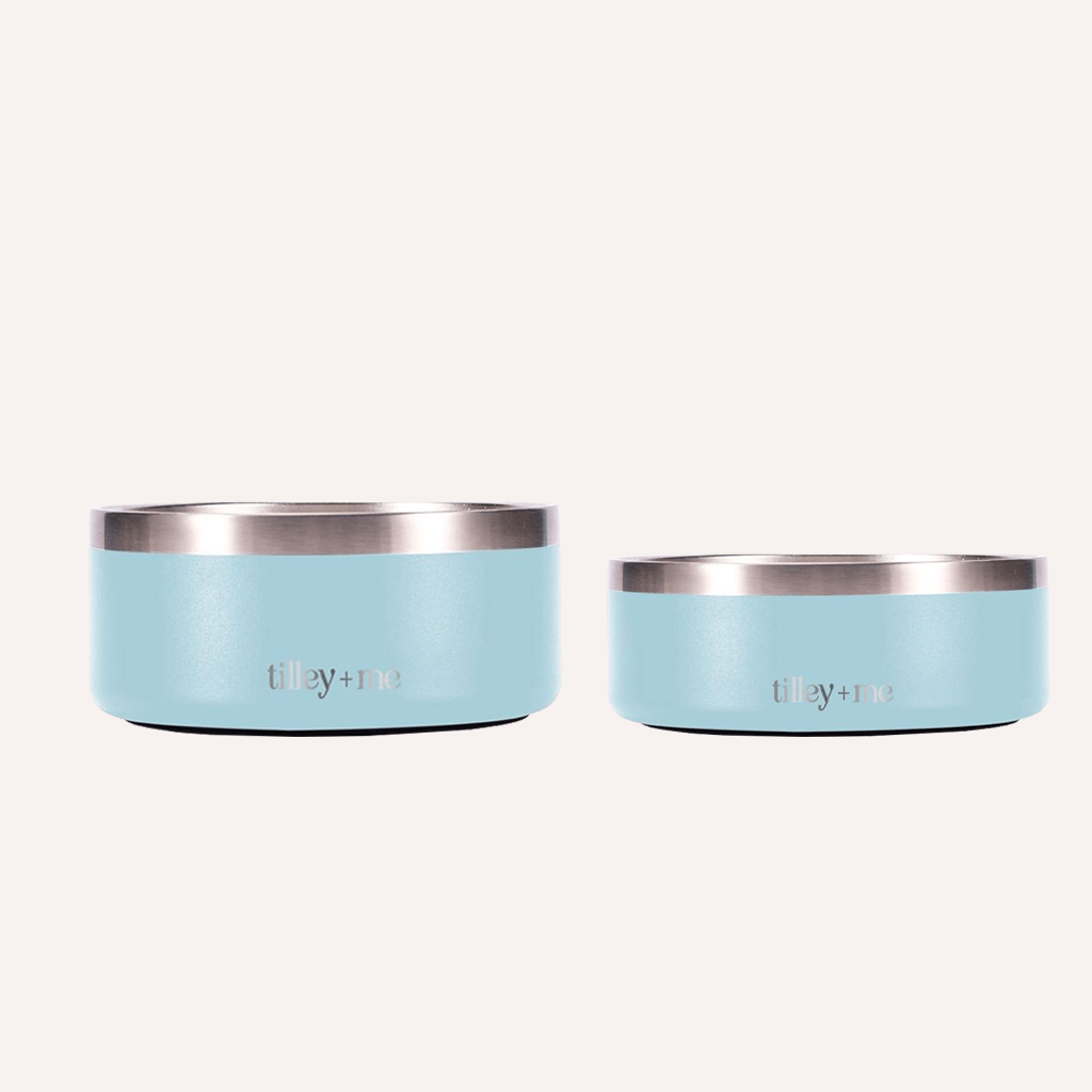Stainless Steel Pet Bowl