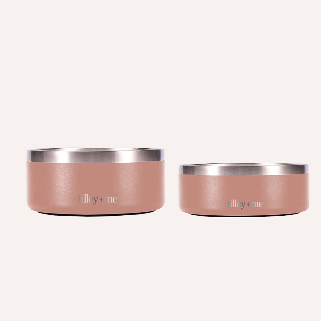 Stainless Steel Pet Bowl