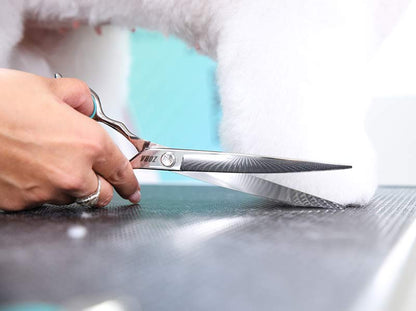 Pet Curved Shear