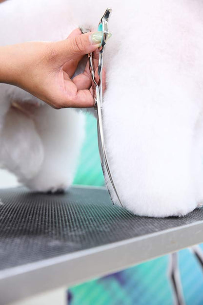 Pet Curved Shear