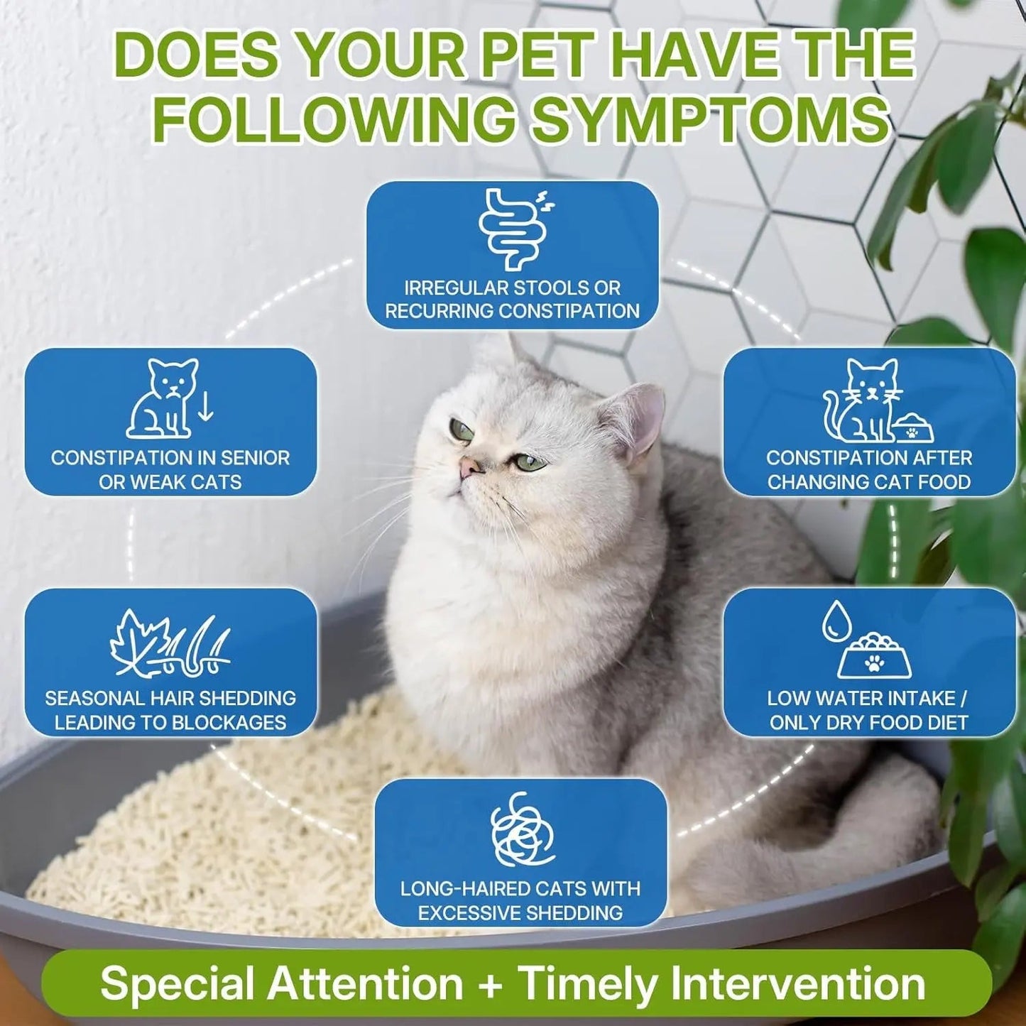 Cat Constipation Relief