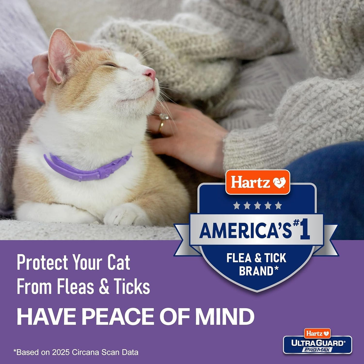 Cat Flea Tick Collar