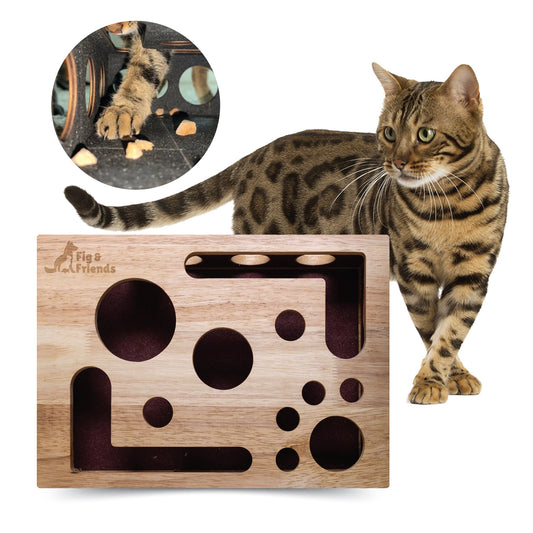 Cat Nail File Box