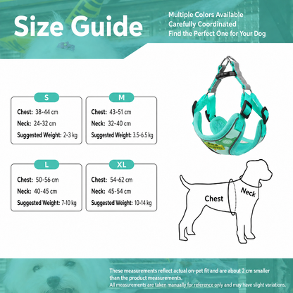 Dog Harness & Leash Set