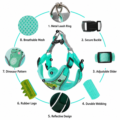 Dog Harness & Leash Set