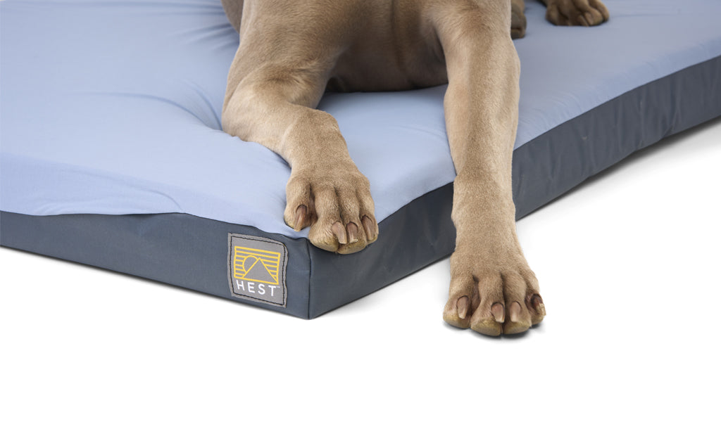 Travel Dog Bed
