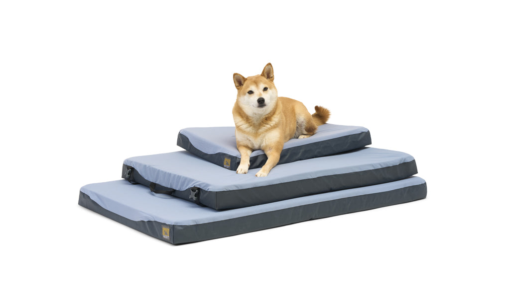 Travel Dog Bed