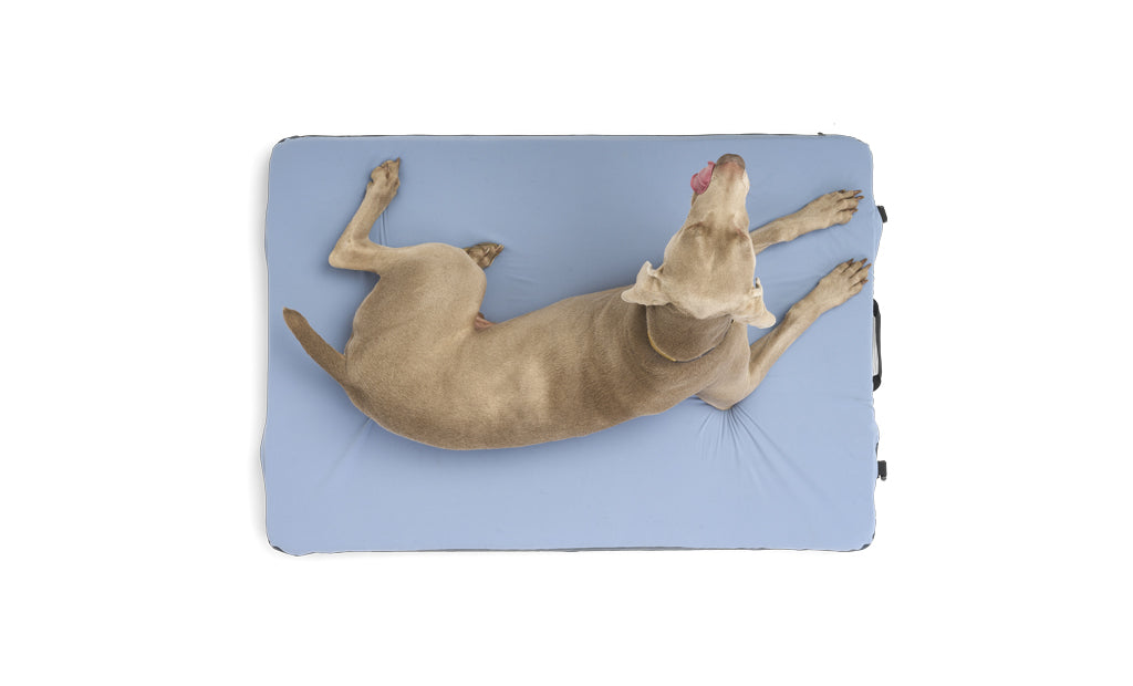 Travel Dog Bed