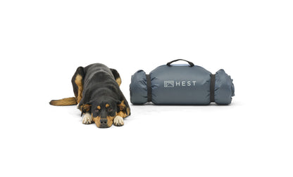 Travel Dog Bed