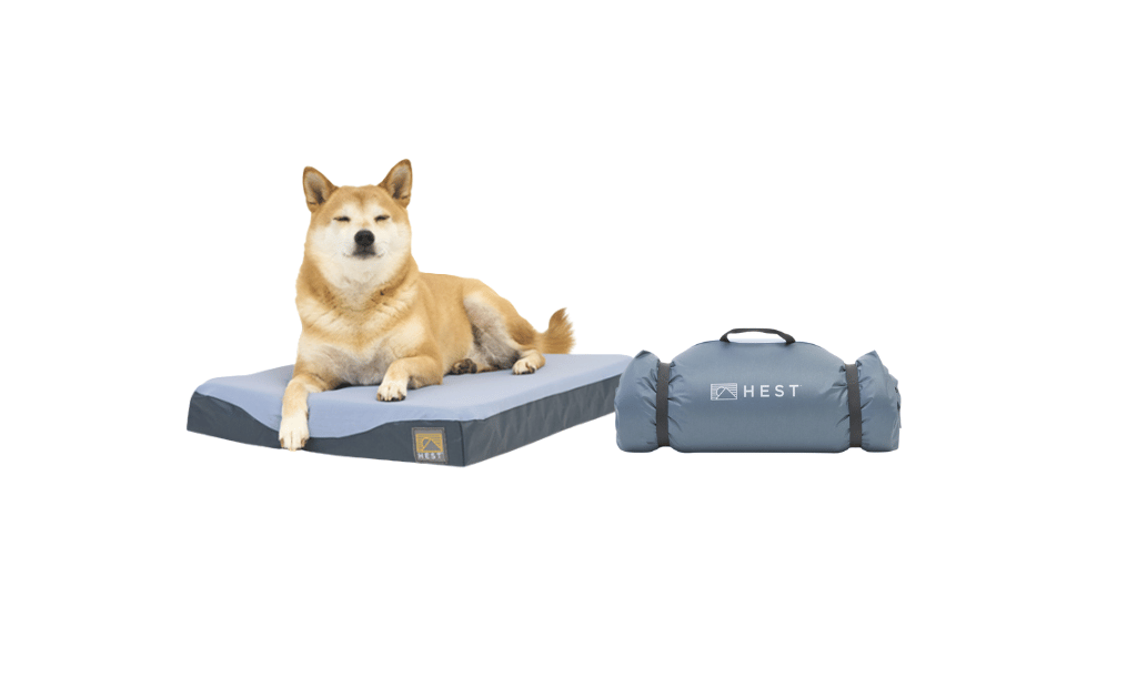 Travel Dog Bed