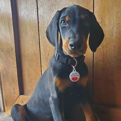 ID Pet Tag