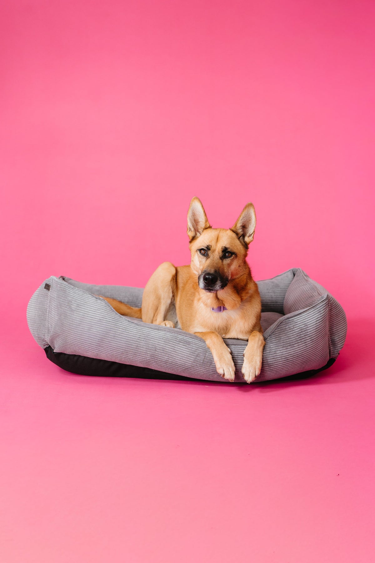 Sleeper Dog Bed Gray