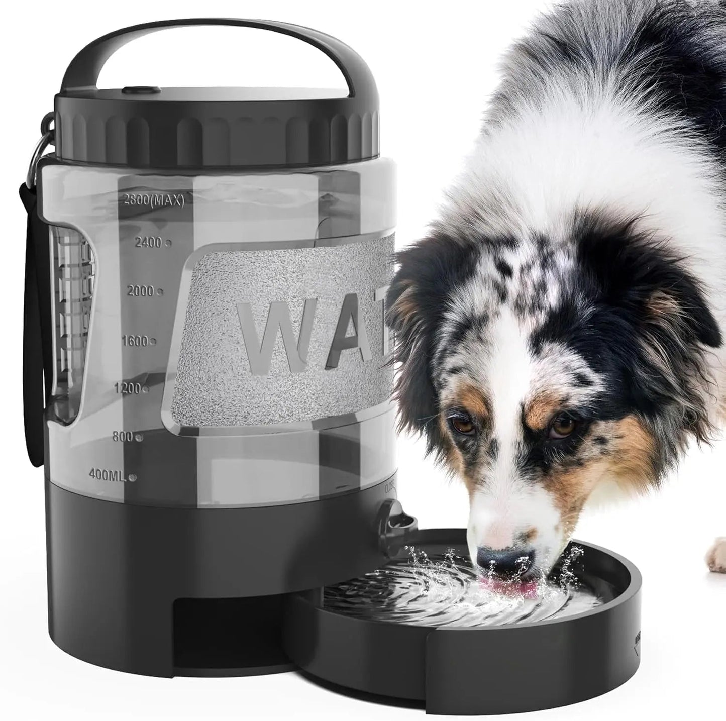Portable Travel Water Bottle