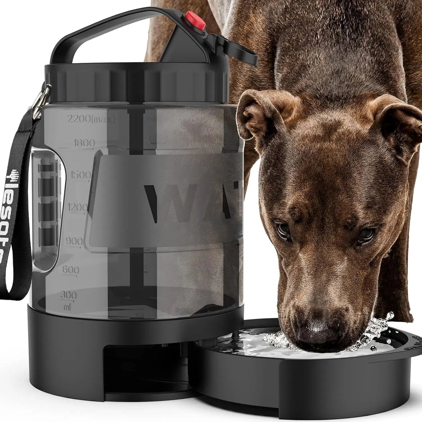 Portable Travel Water Bottle
