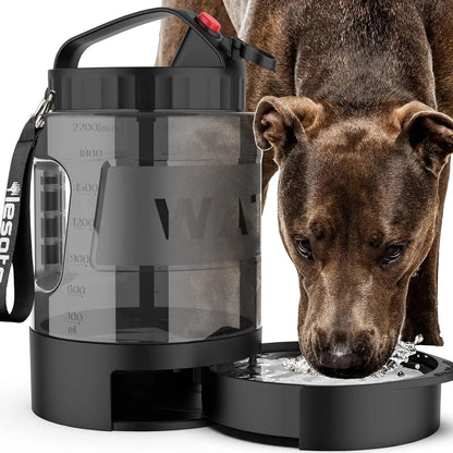 Portable Travel Water Bottle