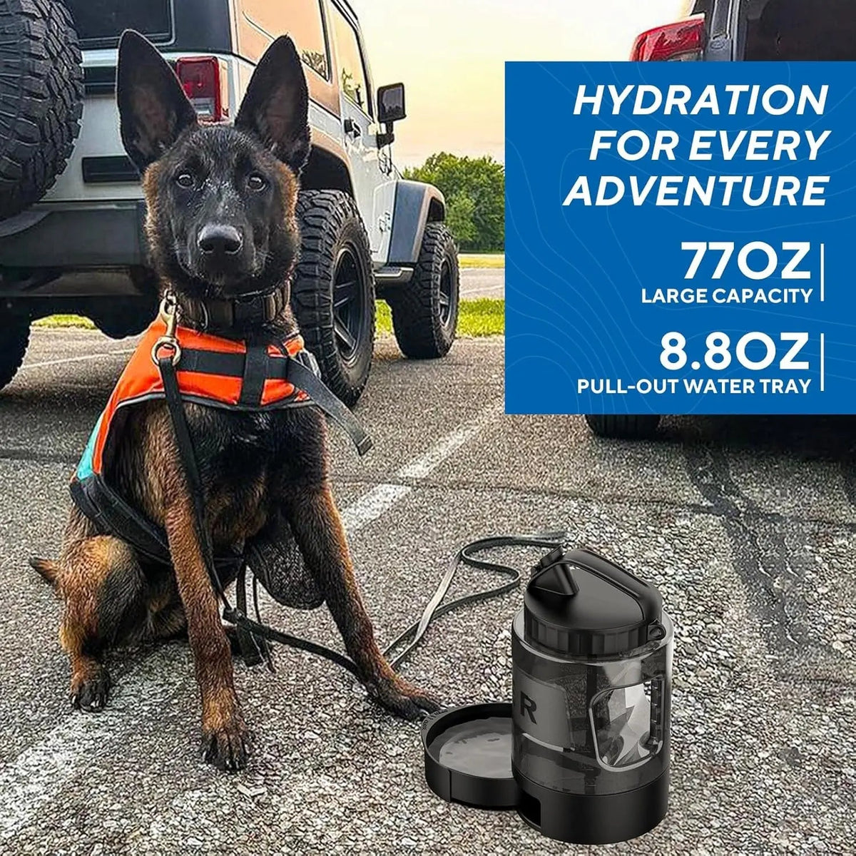 Portable Travel Water Bottle