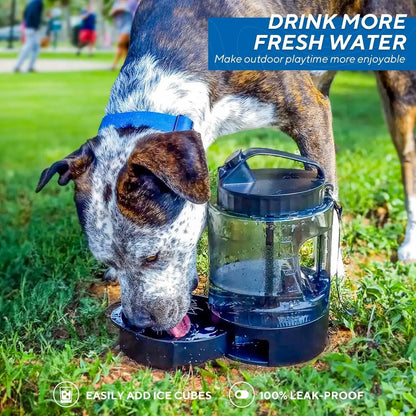 Portable Travel Water Bottle