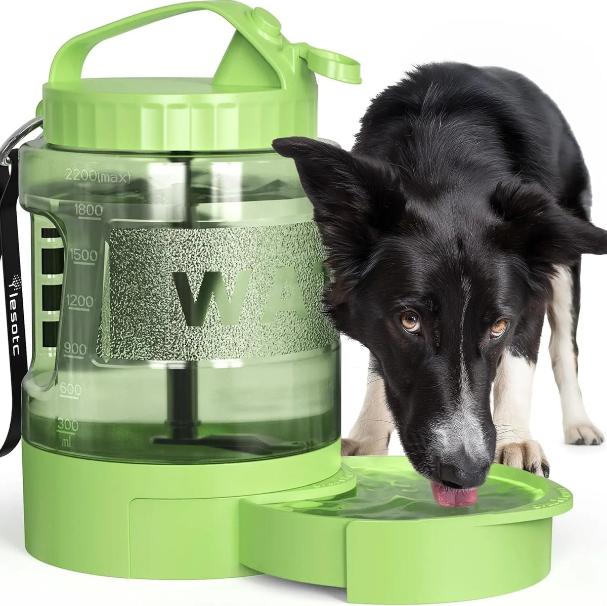 Portable Travel Water Bottle