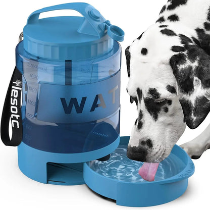 Portable Travel Water Bottle