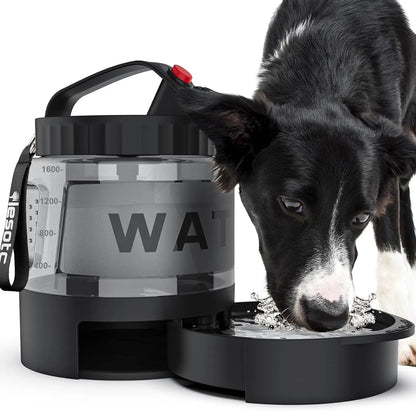 Portable Travel Water Bottle