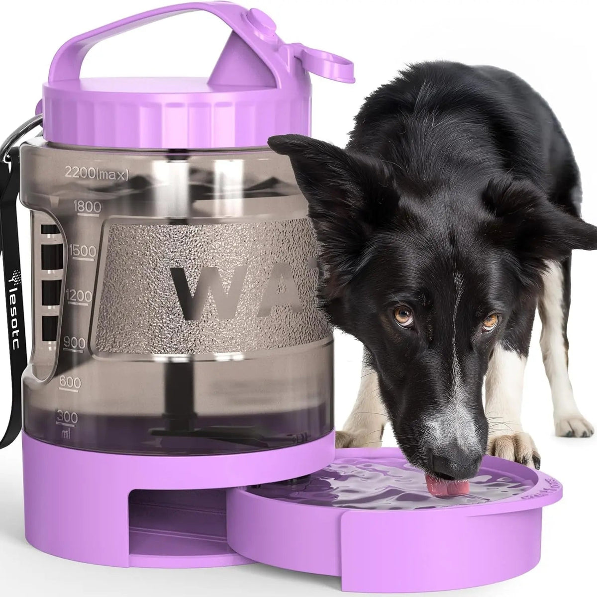 Portable Travel Water Bottle