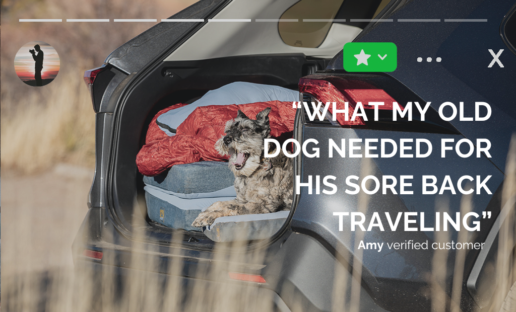 Travel Dog Bed