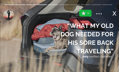 Travel Dog Bed