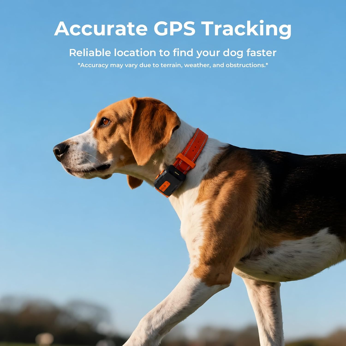 Dog GPS Tracker