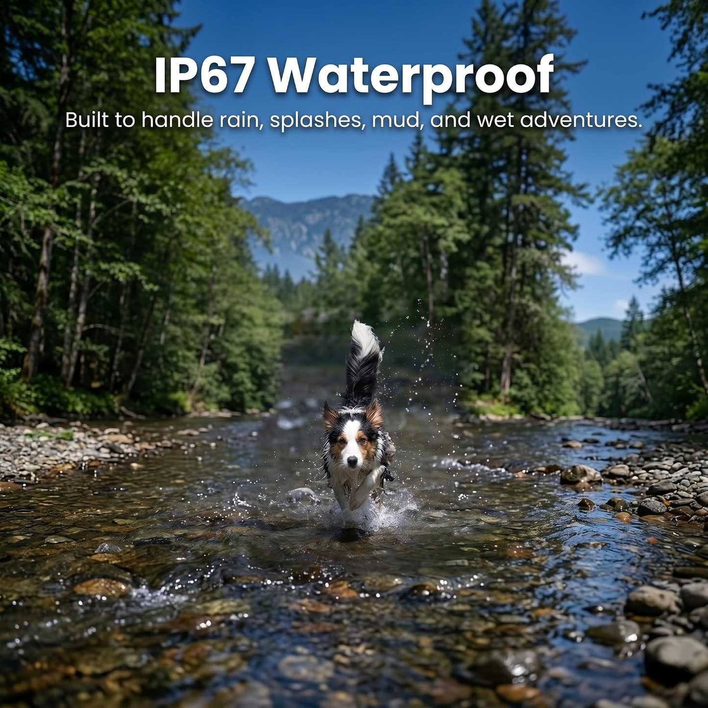 Dog GPS Tracker