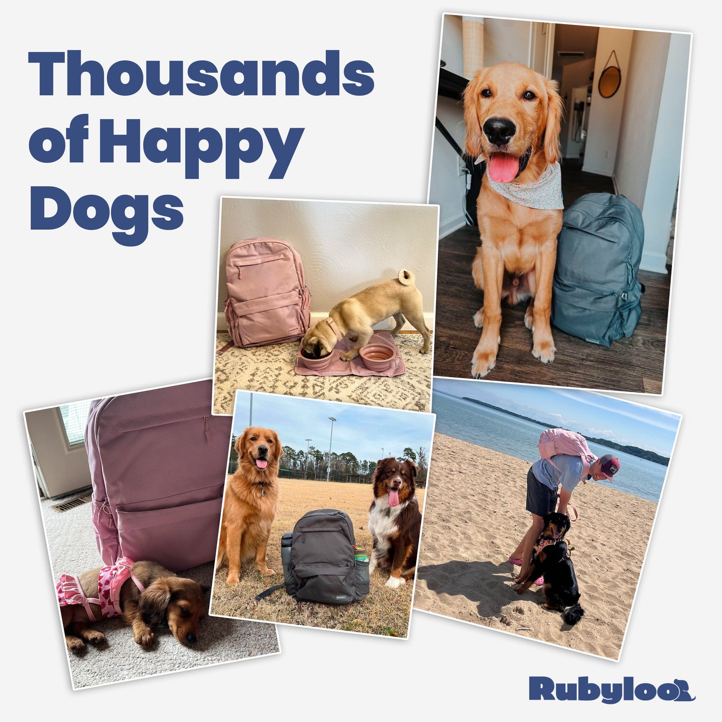 Backpack for Dog Supplies