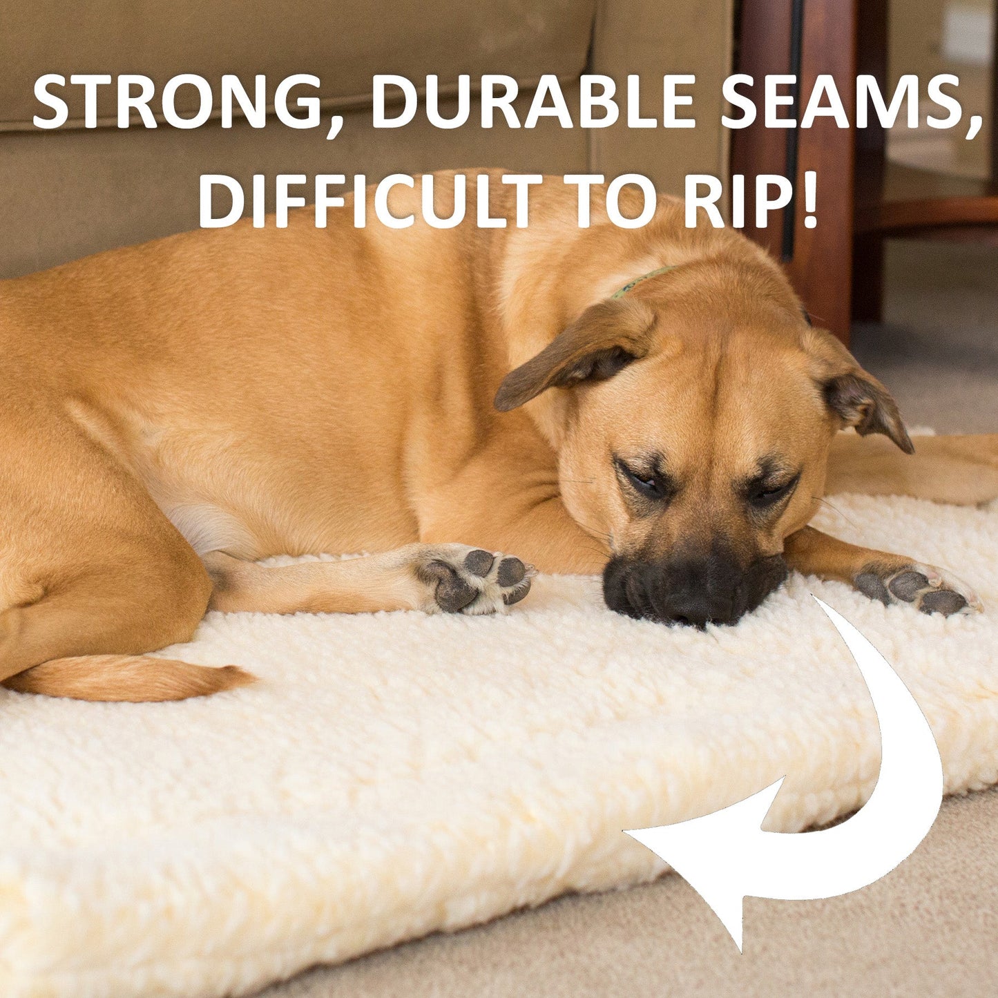 Cat & Dog Beds