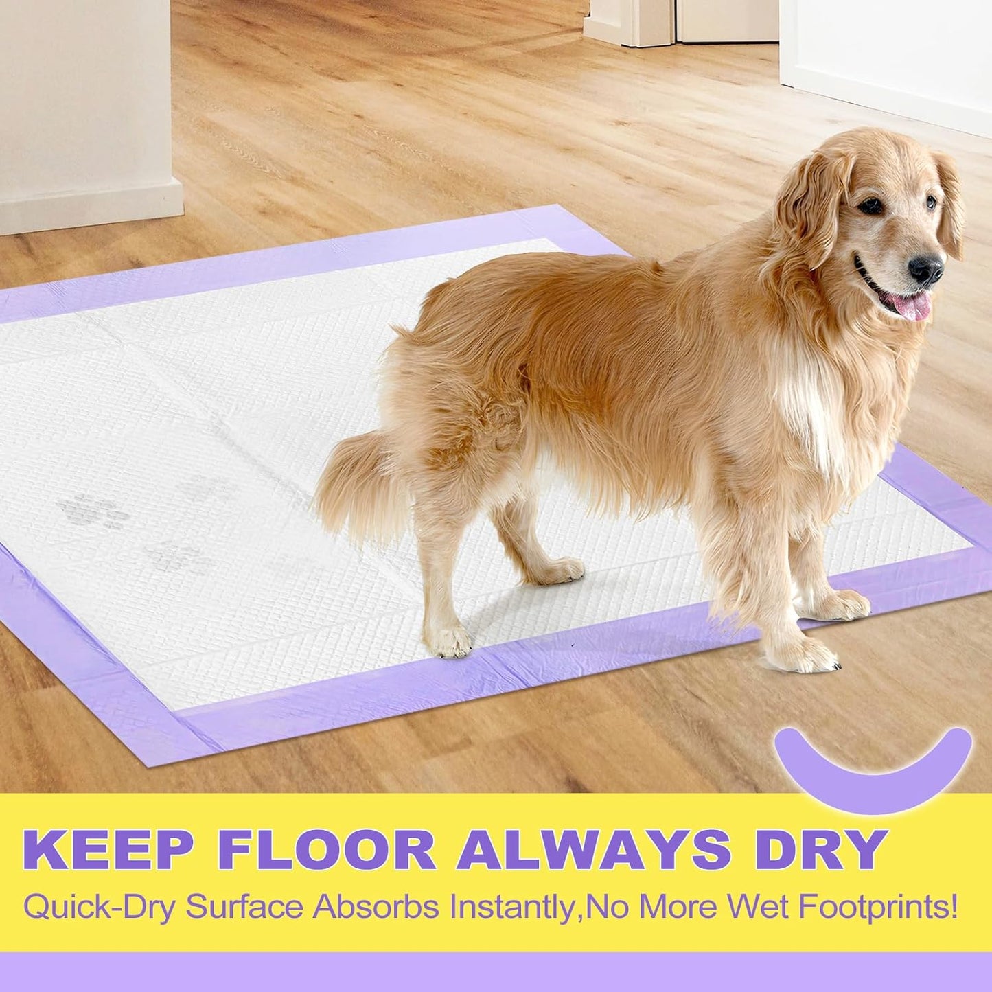 Dog Pee Pads