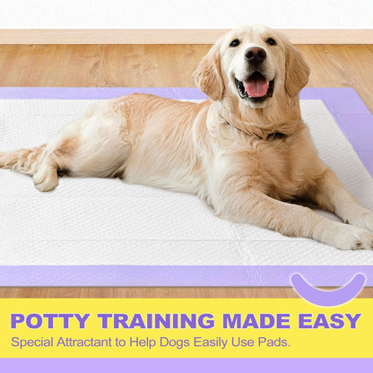 Dog Pee Pads
