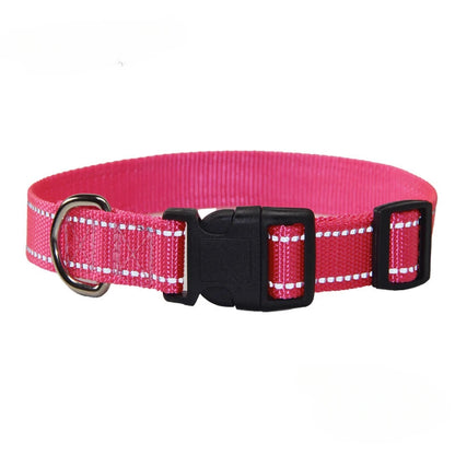 Nylon Dog Collar and Leash Set