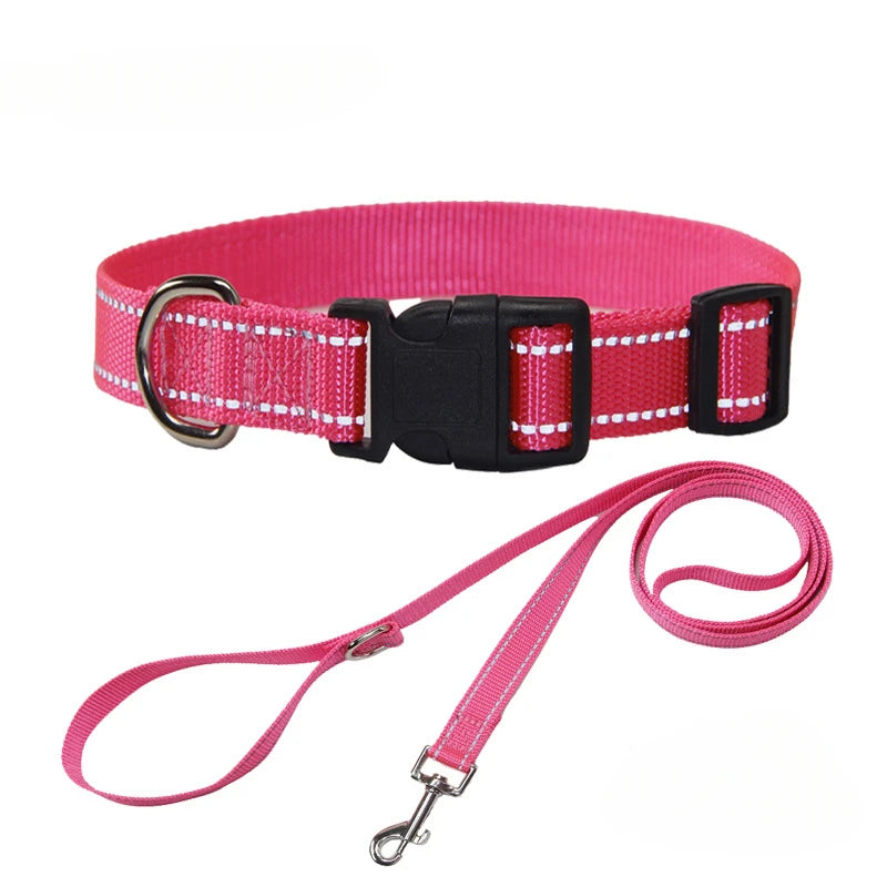 Nylon Dog Collar and Leash Set
