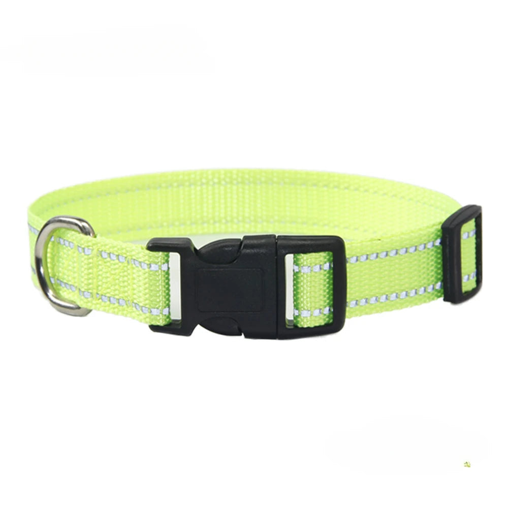 Nylon Dog Collar and Leash Set