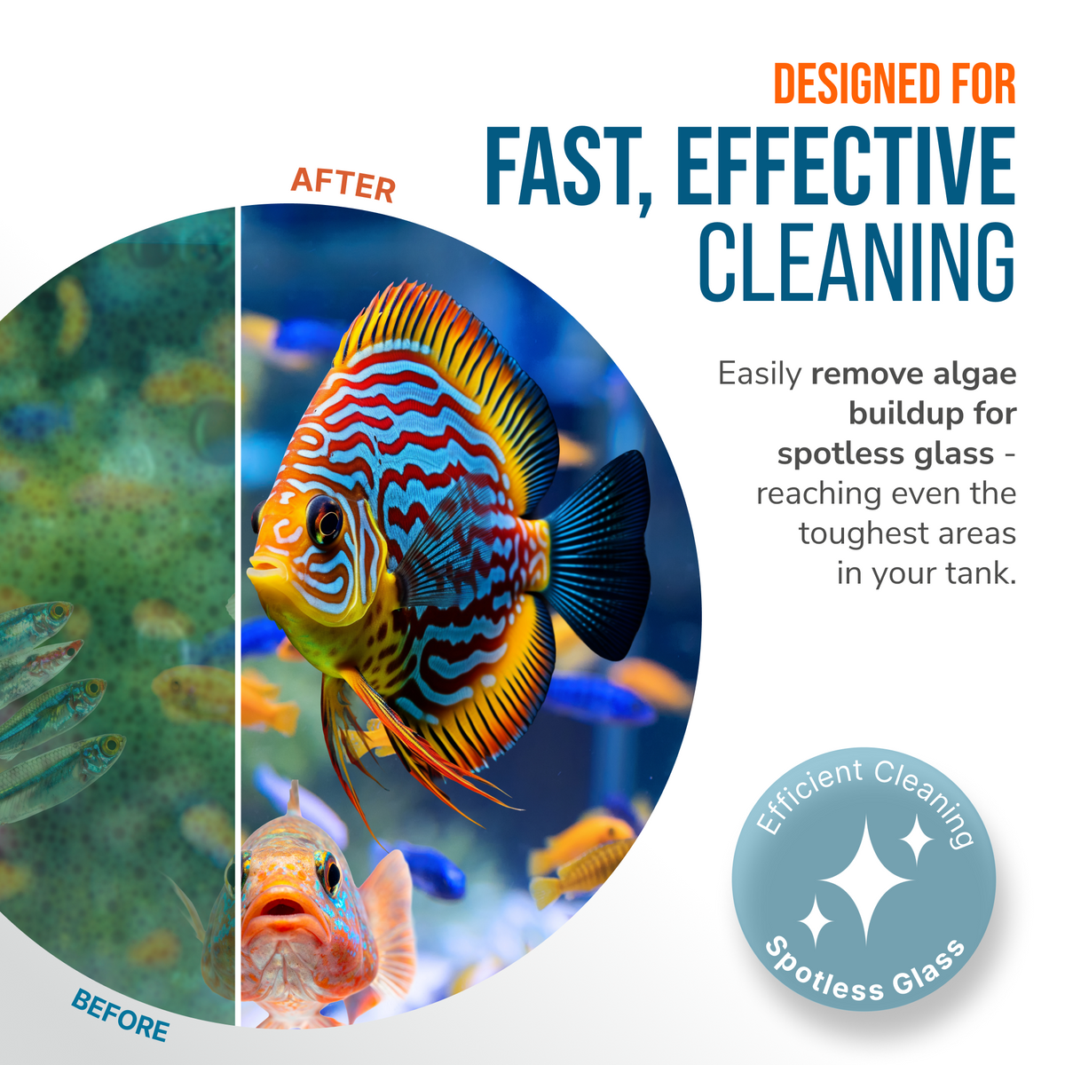 Magnetic Aquarium Algae Cleaner