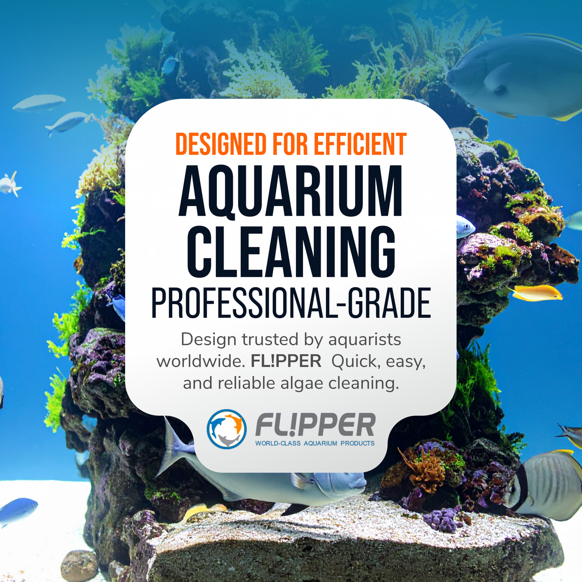 Aquarium Magnet Cleaner