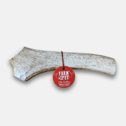 Elk Antler Dog Chews