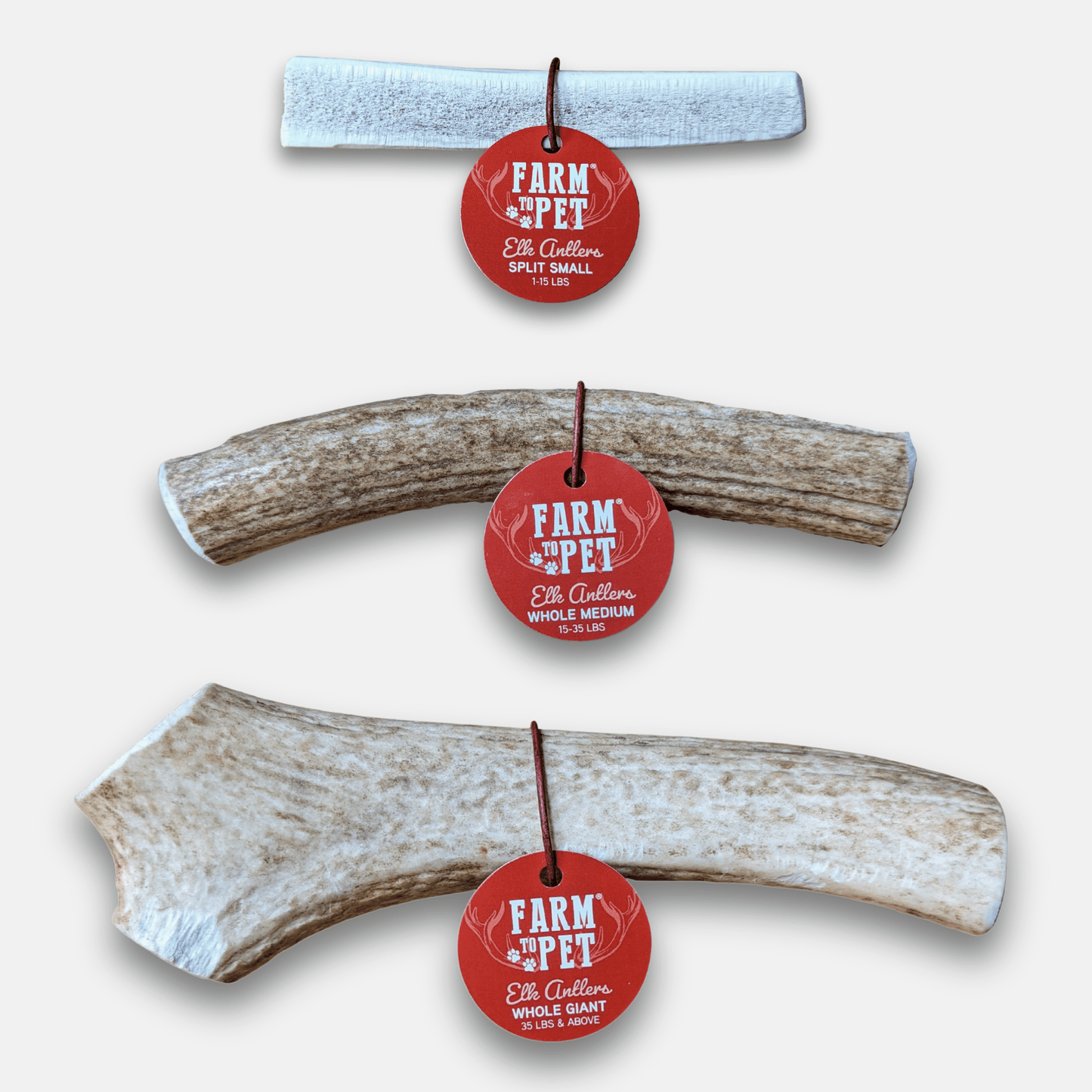 Elk Antler Dog Chews