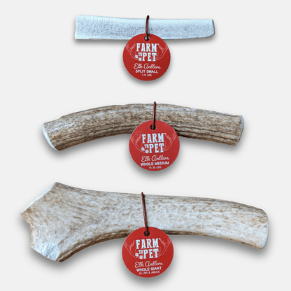 Elk Antler Dog Chews
