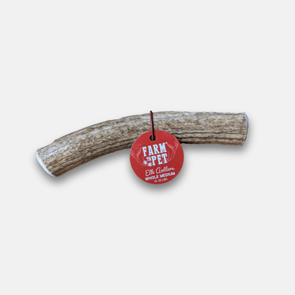 Elk Antler Dog Chews