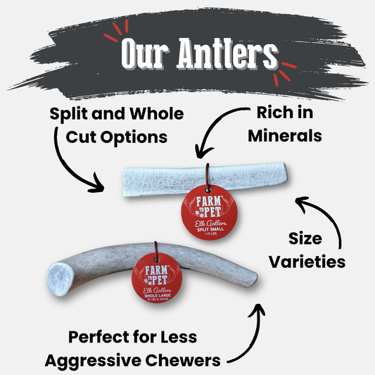 Elk Antler Dog Chews
