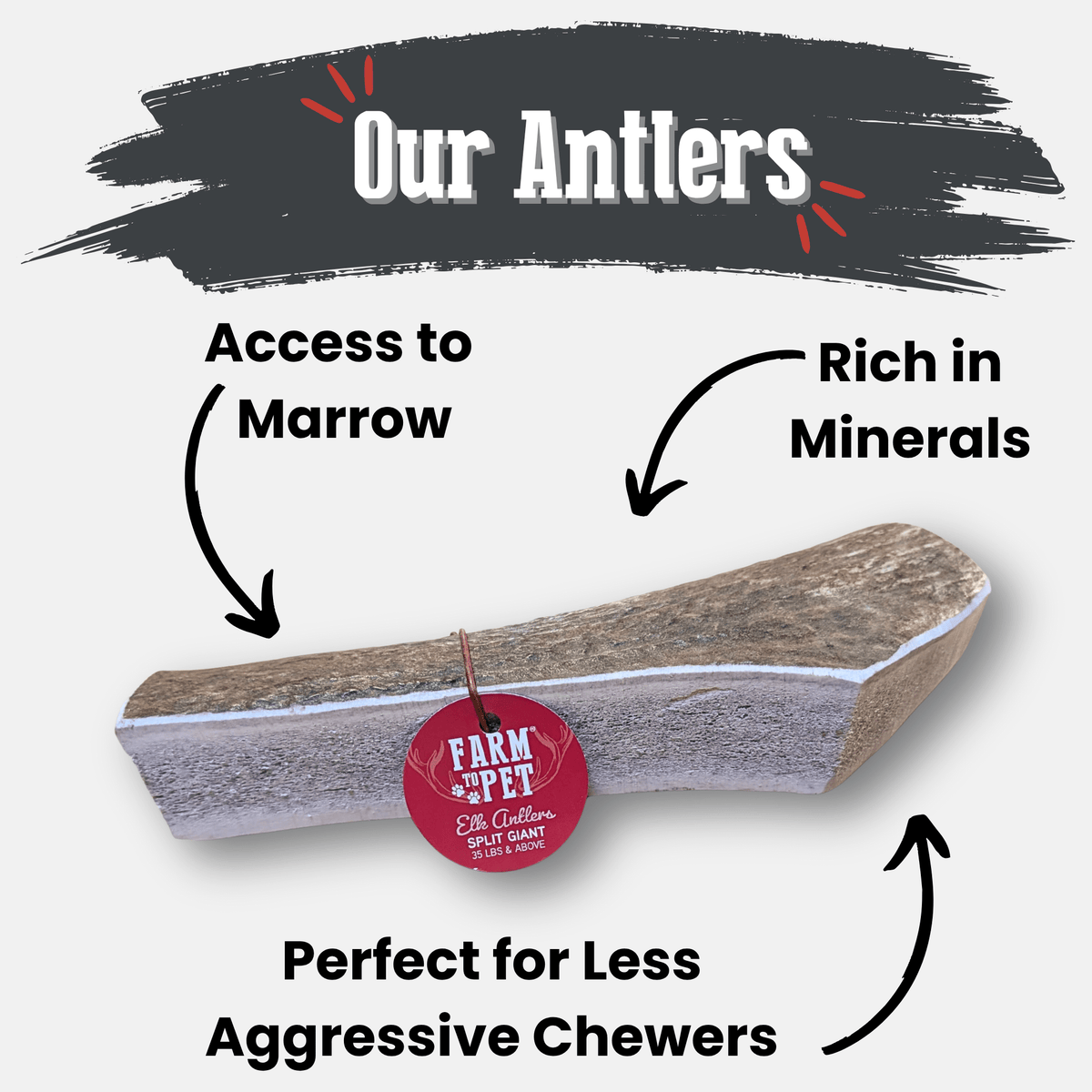 Elk Antler Dog Chews