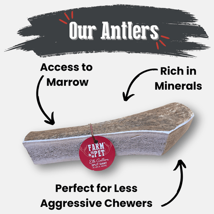 Elk Antler Dog Chews