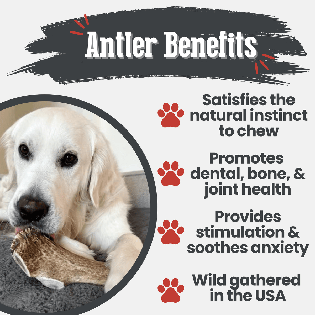 Elk Antler Dog Chews
